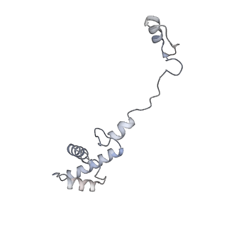 22196_6xiq_AH_v1-2
Cryo-EM Structure of K63R Ubiquitin Mutant Ribosome under Oxidative Stress