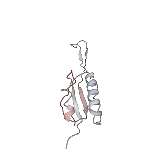 22196_6xiq_AK_v1-2
Cryo-EM Structure of K63R Ubiquitin Mutant Ribosome under Oxidative Stress