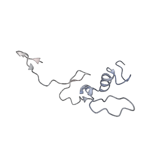 22196_6xiq_AL_v1-2
Cryo-EM Structure of K63R Ubiquitin Mutant Ribosome under Oxidative Stress