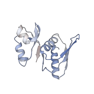 22196_6xiq_AM_v1-2
Cryo-EM Structure of K63R Ubiquitin Mutant Ribosome under Oxidative Stress
