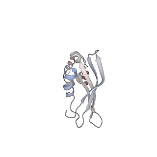 22196_6xiq_AO_v1-2
Cryo-EM Structure of K63R Ubiquitin Mutant Ribosome under Oxidative Stress