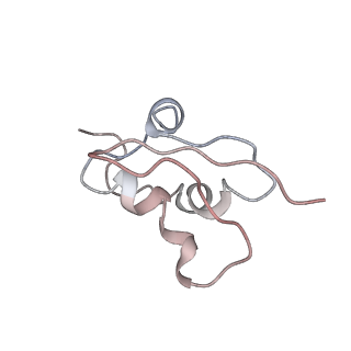 22196_6xiq_AP_v1-2
Cryo-EM Structure of K63R Ubiquitin Mutant Ribosome under Oxidative Stress