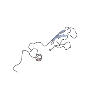 22196_6xiq_AR_v1-2
Cryo-EM Structure of K63R Ubiquitin Mutant Ribosome under Oxidative Stress