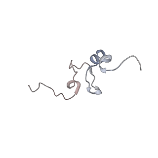 22196_6xiq_AT_v1-2
Cryo-EM Structure of K63R Ubiquitin Mutant Ribosome under Oxidative Stress