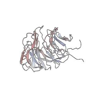 22196_6xiq_AV_v1-2
Cryo-EM Structure of K63R Ubiquitin Mutant Ribosome under Oxidative Stress