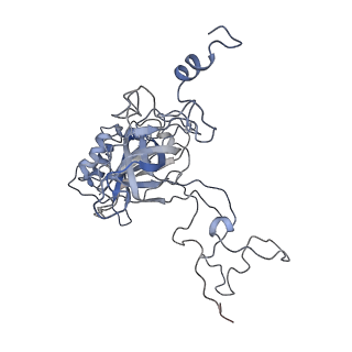 22196_6xiq_B_v1-2
Cryo-EM Structure of K63R Ubiquitin Mutant Ribosome under Oxidative Stress