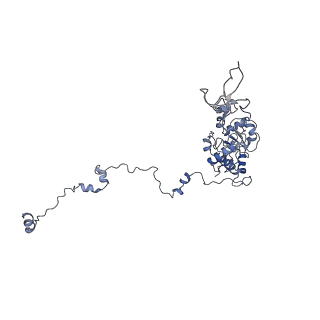 22196_6xiq_C_v1-2
Cryo-EM Structure of K63R Ubiquitin Mutant Ribosome under Oxidative Stress