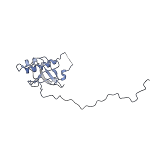 22196_6xiq_E_v1-2
Cryo-EM Structure of K63R Ubiquitin Mutant Ribosome under Oxidative Stress