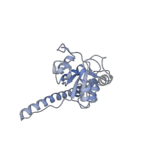 22196_6xiq_F_v1-2
Cryo-EM Structure of K63R Ubiquitin Mutant Ribosome under Oxidative Stress