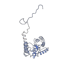 22196_6xiq_G_v1-2
Cryo-EM Structure of K63R Ubiquitin Mutant Ribosome under Oxidative Stress
