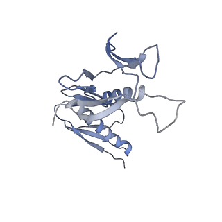 22196_6xiq_H_v1-2
Cryo-EM Structure of K63R Ubiquitin Mutant Ribosome under Oxidative Stress