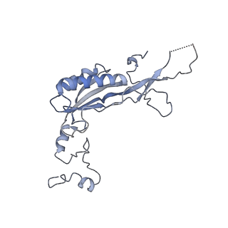 22196_6xiq_I_v1-2
Cryo-EM Structure of K63R Ubiquitin Mutant Ribosome under Oxidative Stress