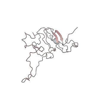 22196_6xiq_L1_v1-2
Cryo-EM Structure of K63R Ubiquitin Mutant Ribosome under Oxidative Stress