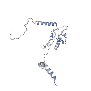 22196_6xiq_L_v1-2
Cryo-EM Structure of K63R Ubiquitin Mutant Ribosome under Oxidative Stress