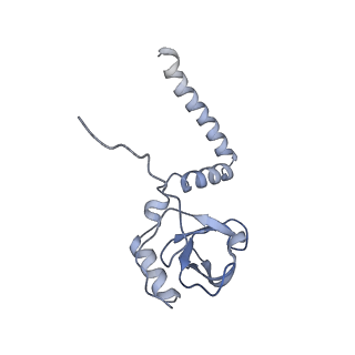 22196_6xiq_M_v1-2
Cryo-EM Structure of K63R Ubiquitin Mutant Ribosome under Oxidative Stress