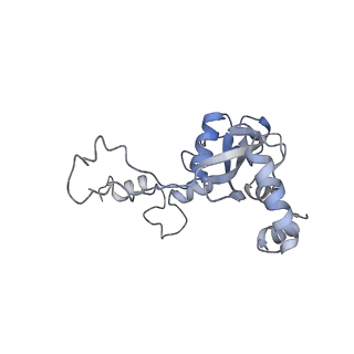 22196_6xiq_N_v1-2
Cryo-EM Structure of K63R Ubiquitin Mutant Ribosome under Oxidative Stress