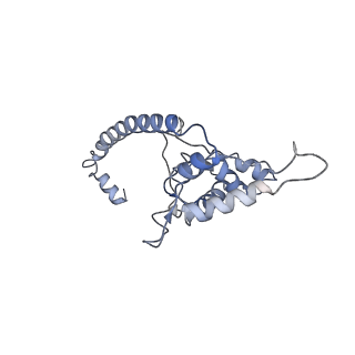 22196_6xiq_O_v1-2
Cryo-EM Structure of K63R Ubiquitin Mutant Ribosome under Oxidative Stress