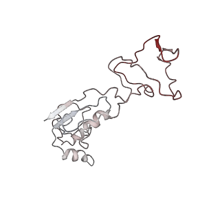 22196_6xiq_P0_v1-2
Cryo-EM Structure of K63R Ubiquitin Mutant Ribosome under Oxidative Stress