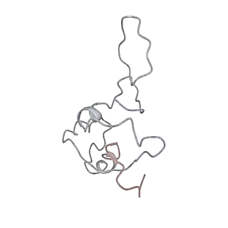 22196_6xiq_P2_v1-2
Cryo-EM Structure of K63R Ubiquitin Mutant Ribosome under Oxidative Stress