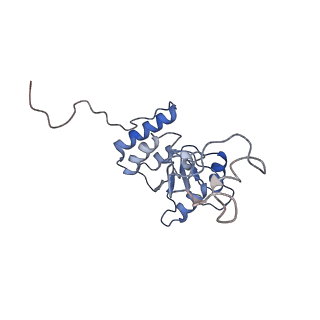 22196_6xiq_Q_v1-2
Cryo-EM Structure of K63R Ubiquitin Mutant Ribosome under Oxidative Stress