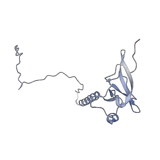 22196_6xiq_T_v1-2
Cryo-EM Structure of K63R Ubiquitin Mutant Ribosome under Oxidative Stress