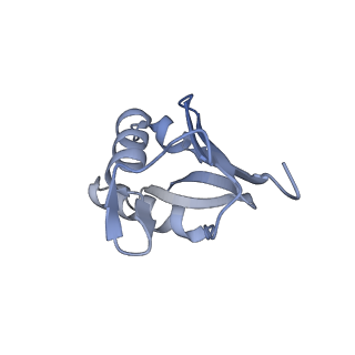 22196_6xiq_U_v1-2
Cryo-EM Structure of K63R Ubiquitin Mutant Ribosome under Oxidative Stress