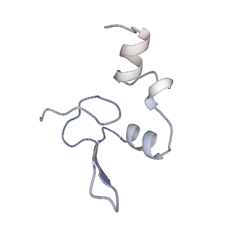 22196_6xiq_W_v1-2
Cryo-EM Structure of K63R Ubiquitin Mutant Ribosome under Oxidative Stress