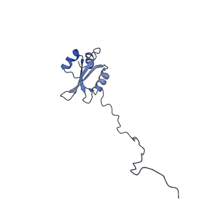 22196_6xiq_X_v1-2
Cryo-EM Structure of K63R Ubiquitin Mutant Ribosome under Oxidative Stress
