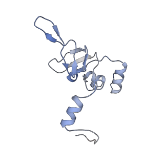 22196_6xiq_Y_v1-2
Cryo-EM Structure of K63R Ubiquitin Mutant Ribosome under Oxidative Stress