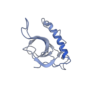 22196_6xiq_Z_v1-2
Cryo-EM Structure of K63R Ubiquitin Mutant Ribosome under Oxidative Stress