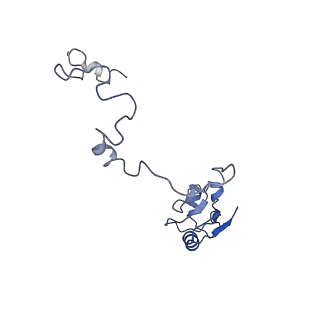 22196_6xiq_a_v1-2
Cryo-EM Structure of K63R Ubiquitin Mutant Ribosome under Oxidative Stress