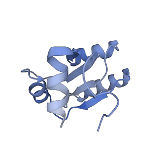 22196_6xiq_c_v1-2
Cryo-EM Structure of K63R Ubiquitin Mutant Ribosome under Oxidative Stress