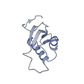 22196_6xiq_d_v1-2
Cryo-EM Structure of K63R Ubiquitin Mutant Ribosome under Oxidative Stress
