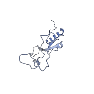 22196_6xiq_e_v1-2
Cryo-EM Structure of K63R Ubiquitin Mutant Ribosome under Oxidative Stress