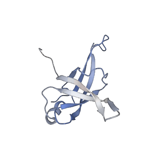 22196_6xiq_f_v1-2
Cryo-EM Structure of K63R Ubiquitin Mutant Ribosome under Oxidative Stress
