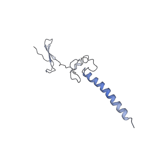 22196_6xiq_g_v1-2
Cryo-EM Structure of K63R Ubiquitin Mutant Ribosome under Oxidative Stress