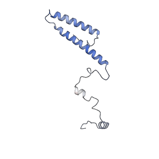 22196_6xiq_h_v1-2
Cryo-EM Structure of K63R Ubiquitin Mutant Ribosome under Oxidative Stress