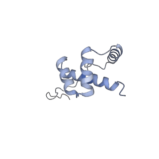 22196_6xiq_i_v1-2
Cryo-EM Structure of K63R Ubiquitin Mutant Ribosome under Oxidative Stress