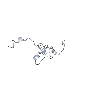 22196_6xiq_j_v1-2
Cryo-EM Structure of K63R Ubiquitin Mutant Ribosome under Oxidative Stress