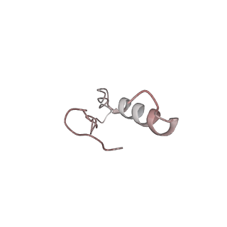 22196_6xiq_l_v1-2
Cryo-EM Structure of K63R Ubiquitin Mutant Ribosome under Oxidative Stress