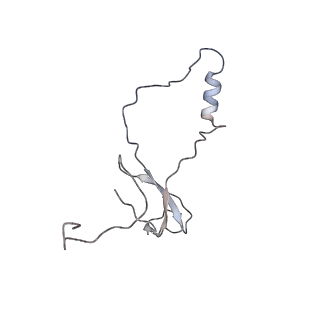 22196_6xiq_o_v1-2
Cryo-EM Structure of K63R Ubiquitin Mutant Ribosome under Oxidative Stress