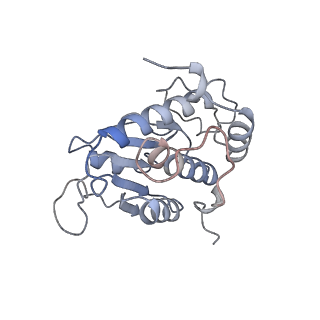 22196_6xiq_q_v1-2
Cryo-EM Structure of K63R Ubiquitin Mutant Ribosome under Oxidative Stress