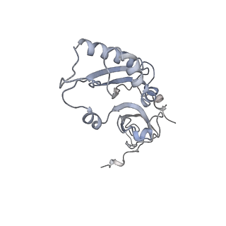 22196_6xiq_r_v1-2
Cryo-EM Structure of K63R Ubiquitin Mutant Ribosome under Oxidative Stress