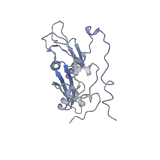 22196_6xiq_s_v1-2
Cryo-EM Structure of K63R Ubiquitin Mutant Ribosome under Oxidative Stress