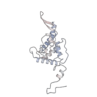 22196_6xiq_v_v1-2
Cryo-EM Structure of K63R Ubiquitin Mutant Ribosome under Oxidative Stress