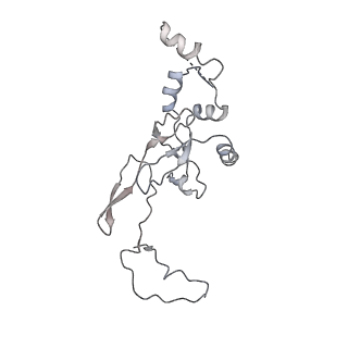 22196_6xiq_y_v1-2
Cryo-EM Structure of K63R Ubiquitin Mutant Ribosome under Oxidative Stress