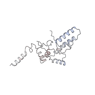 22196_6xiq_z_v1-2
Cryo-EM Structure of K63R Ubiquitin Mutant Ribosome under Oxidative Stress