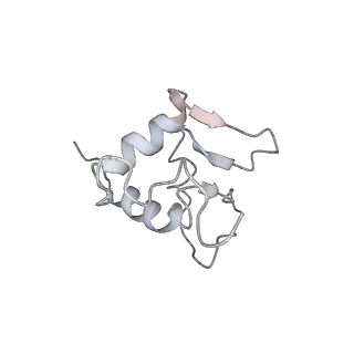 22198_6xir_AA_v1-2
Cryo-EM Structure of K63 Ubiquitinated Yeast Translocating Ribosome under Oxidative Stress