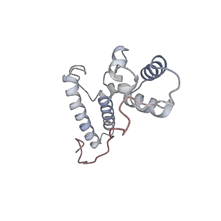 22198_6xir_AD_v1-2
Cryo-EM Structure of K63 Ubiquitinated Yeast Translocating Ribosome under Oxidative Stress