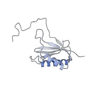 22198_6xir_AE_v1-2
Cryo-EM Structure of K63 Ubiquitinated Yeast Translocating Ribosome under Oxidative Stress